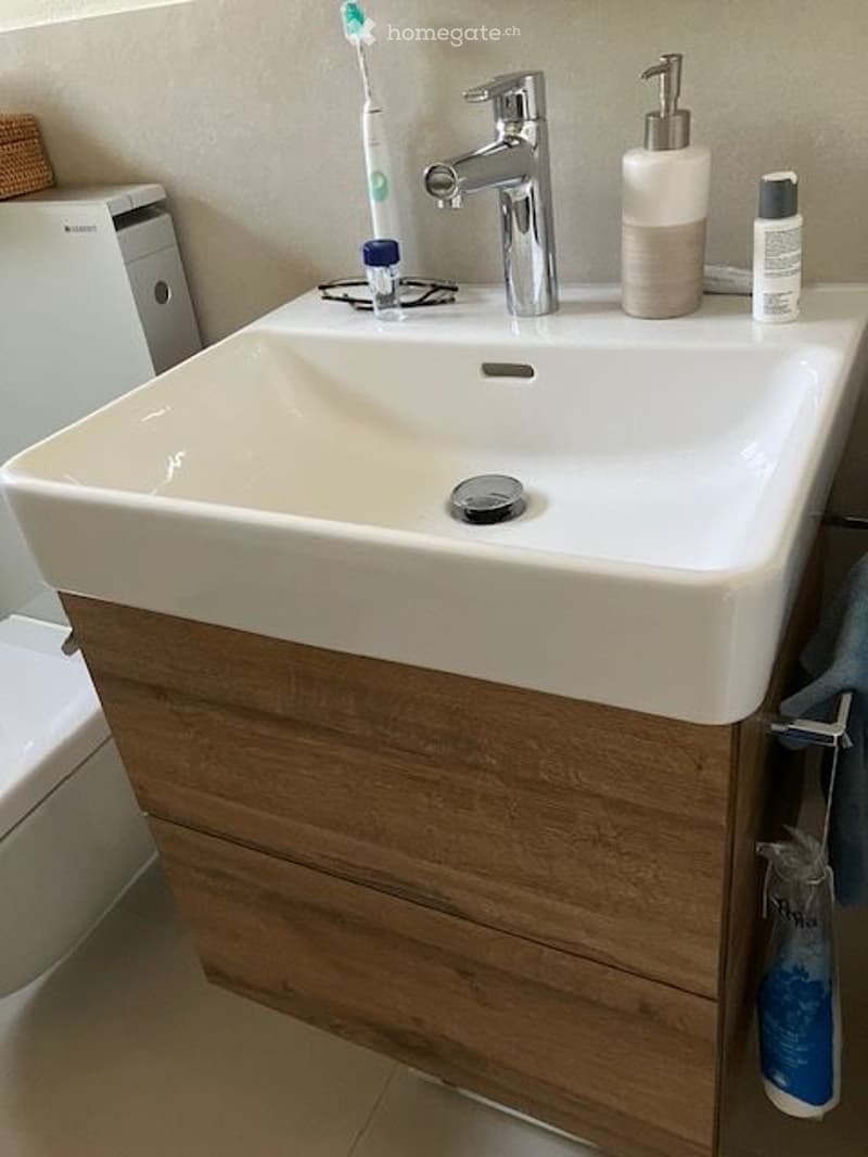 Modern bathroom with a white sink, chrome faucet, toothbrush holder, soap dispenser, and a wooden cabinet below.