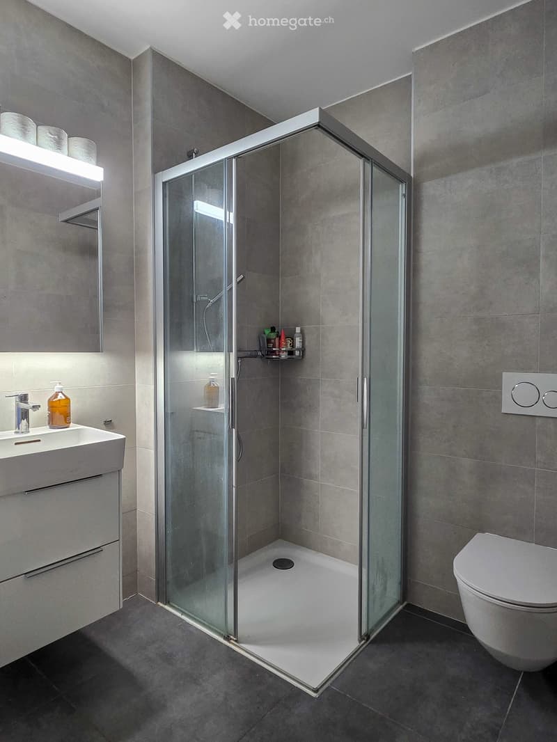 Modern bathroom with a glass-enclosed shower, a white sink with a chrome faucet, a toilet, and a shelf with toiletries.