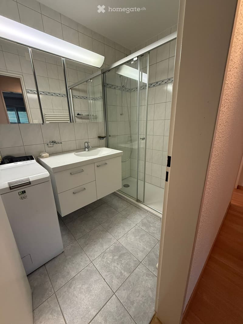 Bathroom with shower, sink, and washing machine