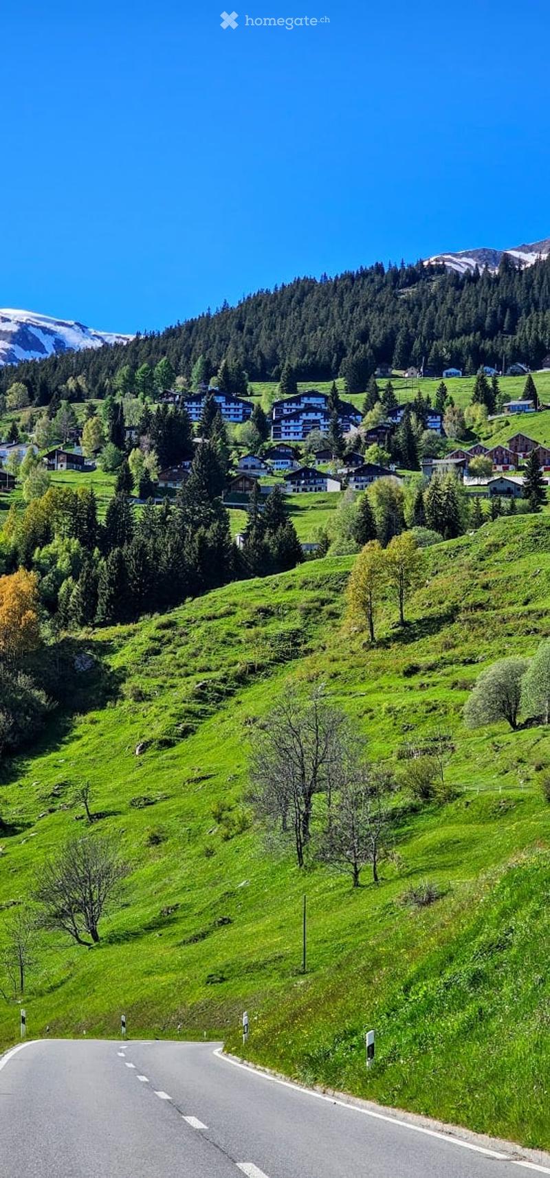 A scenic mountain valley with green hills, scattered houses, and a winding road. The landscape features dense forests and snow-capped peaks in the background.
