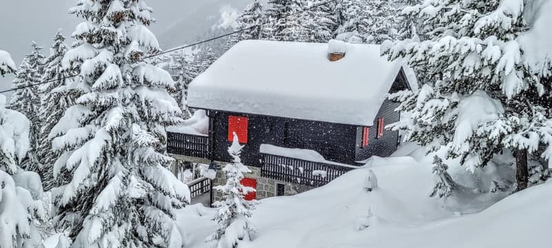 A cozy wooden house with a snow-covered roof and red shutters, surrounded by snow-laden pine trees in a serene winter landscape.