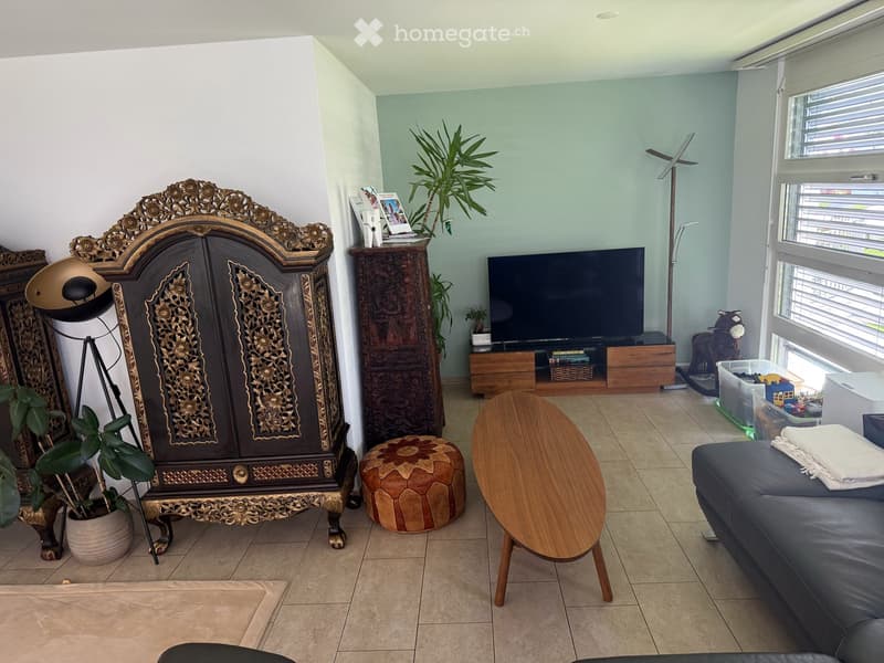 Wohnzimmer/Living Area