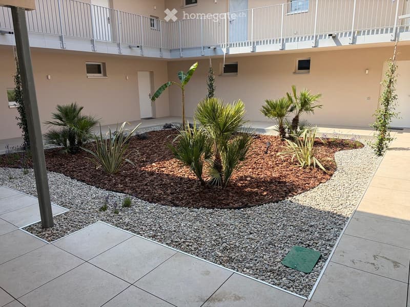 Courtyard with small palm trees, gravel, and a raised balcony level above.