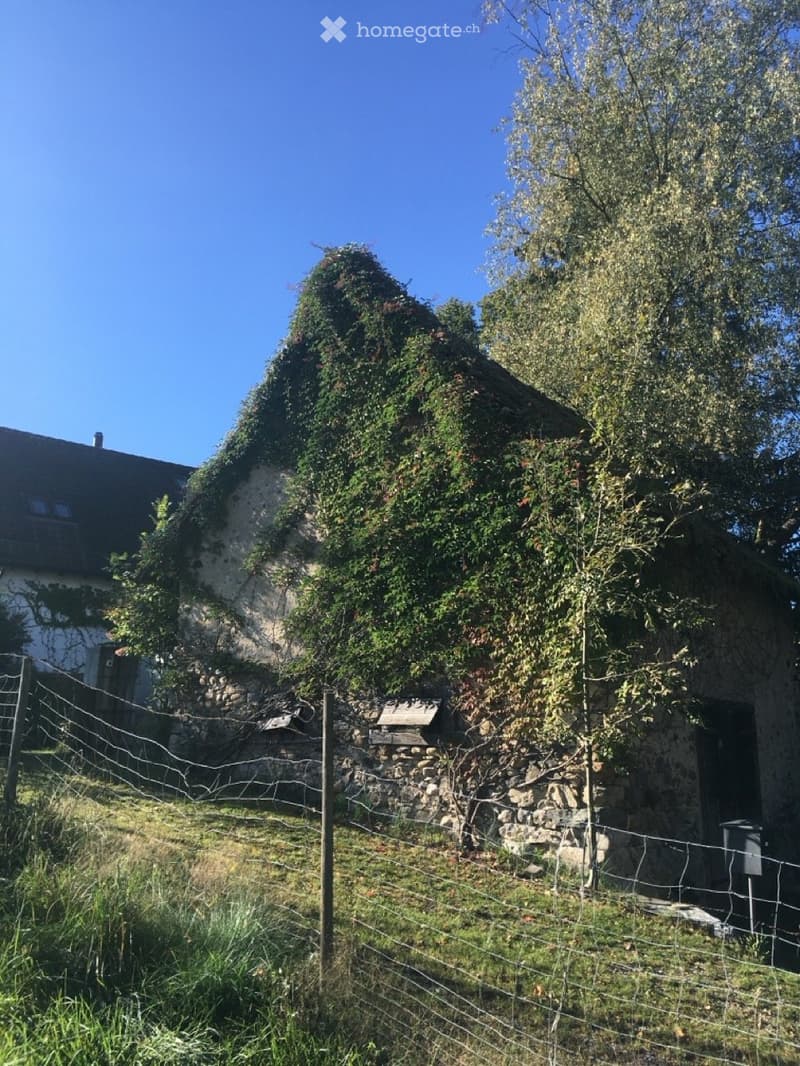 A rustic stone house with a thatched roof, partially covered in ivy, surrounded by a wire fence and trees.