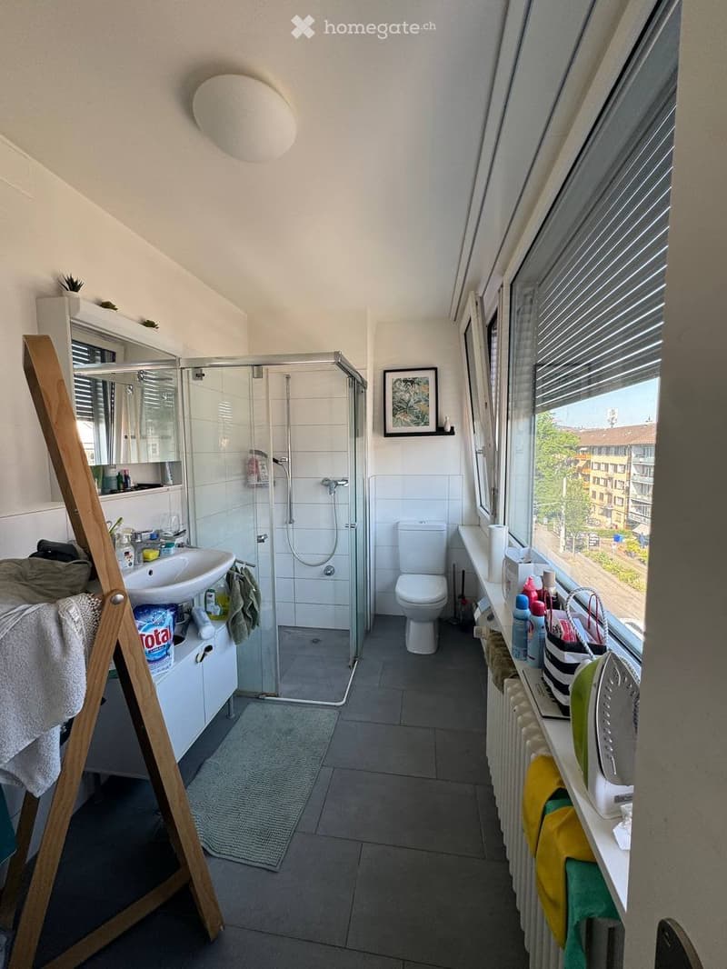 Modern bathroom with a glass-enclosed shower, toilet, sink, and mirror. Cleaning supplies and a towel are visible on the radiator and shelf.