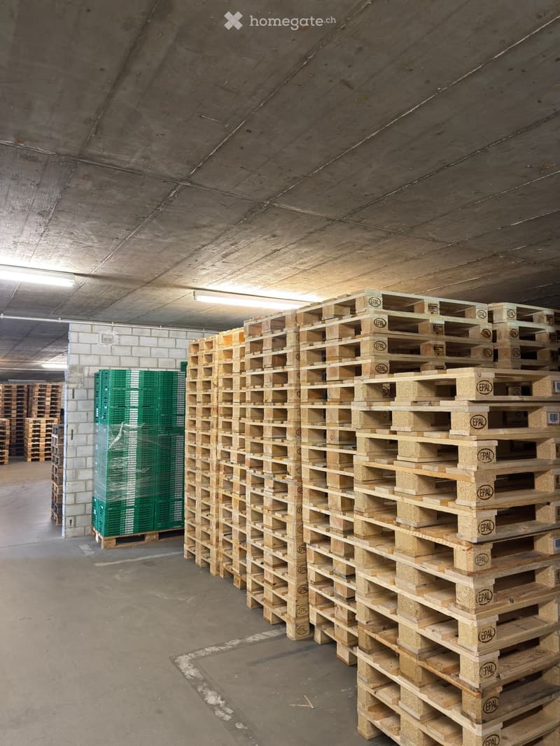 Storage warehouse with wooden pallets stacked and illuminated by ceiling lights