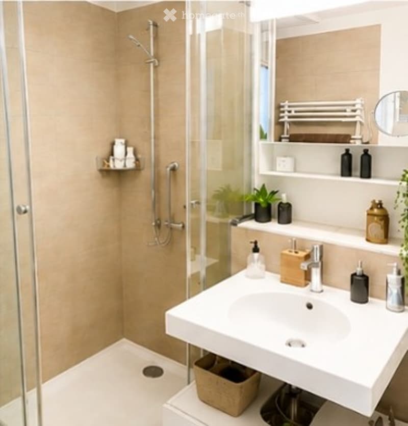Modern bathroom with a white sink, glass shower enclosure, and decorative items on shelves.