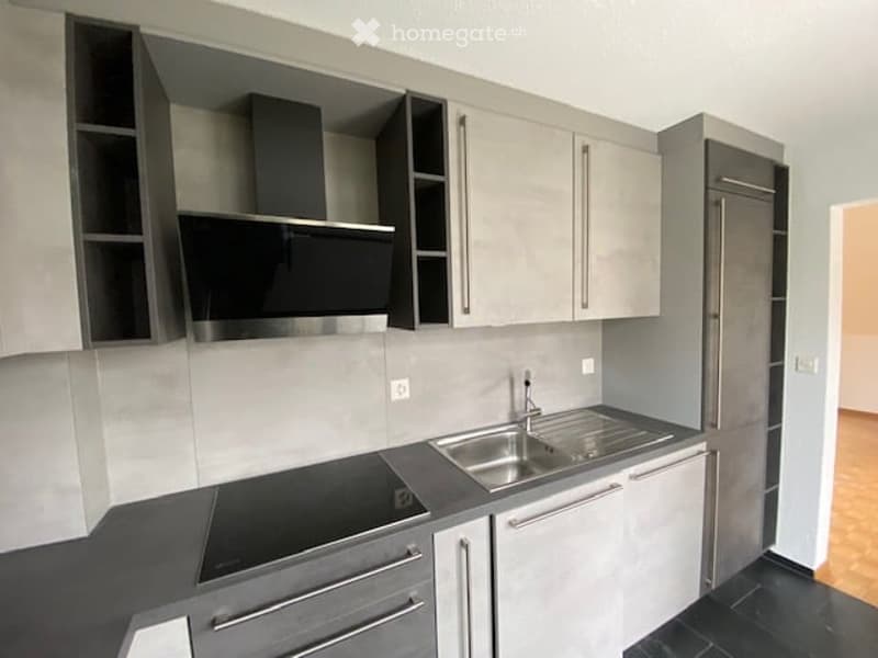 Modern kitchen with grey cabinets, stainless steel sink, stove, and refrigerator. Clean and organized with a sleek design.