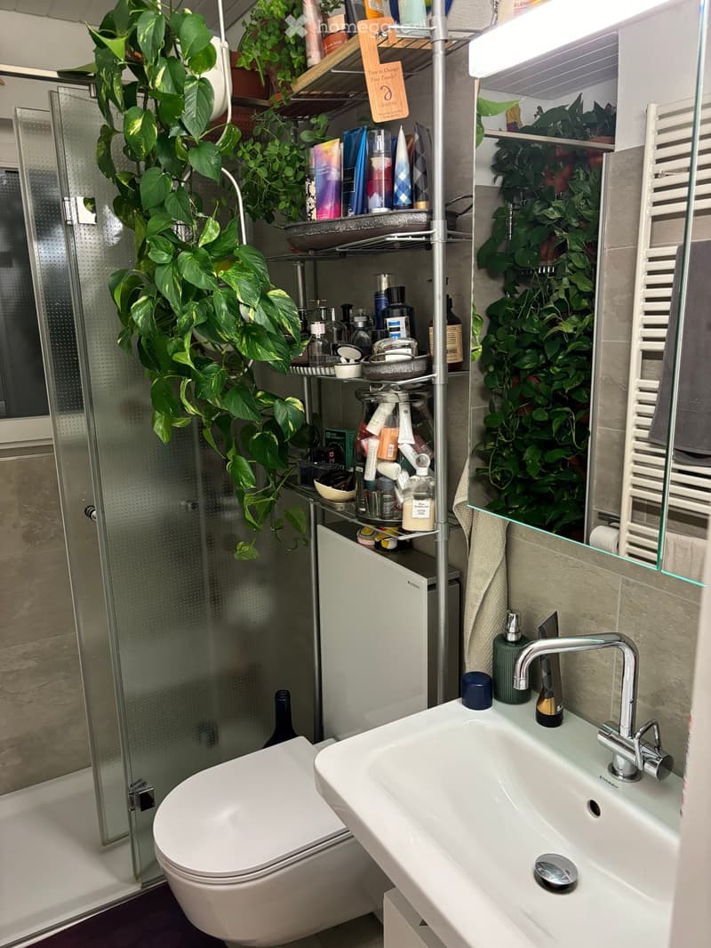 Modern bathroom with a white toilet, sink, and glass shower enclosure. Shelves hold toiletries and plants, and a towel hangs on the wall.