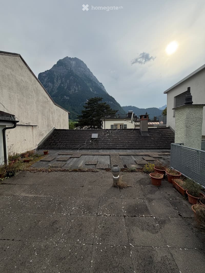 Roof terrace with concrete tiles, several potted plants, and a decorative vase in the center. The background features a mountain view.
