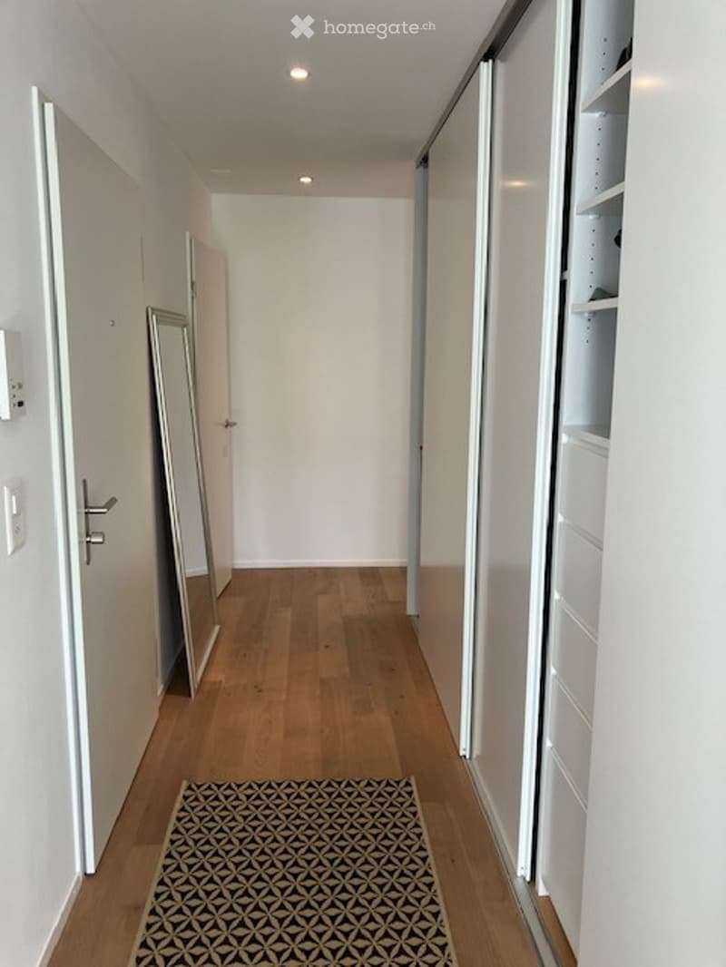 Clean, modern hallway with light wooden flooring, white walls, built-in storage units, and a decorative rug.