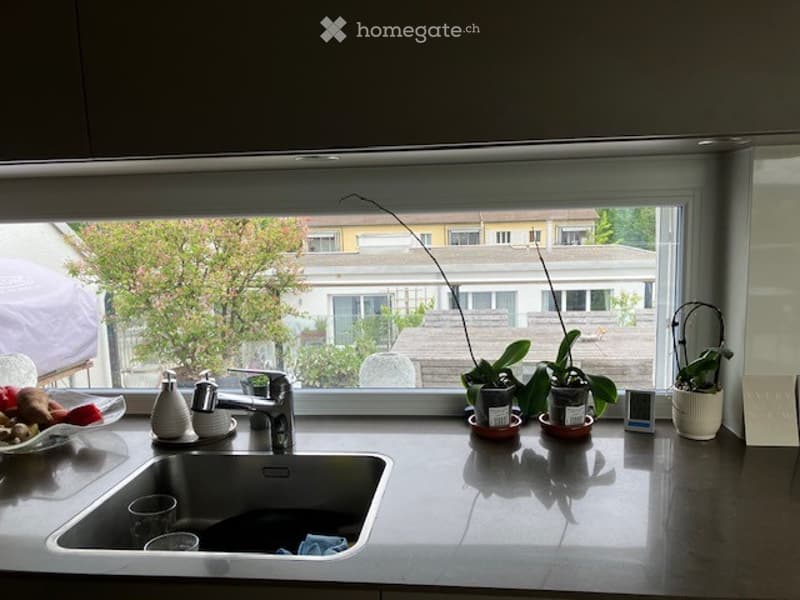 Modern kitchen with a large window overlooking a garden, featuring a sink, faucet, dish rack, bowl, cup, and several potted plants on the counter.