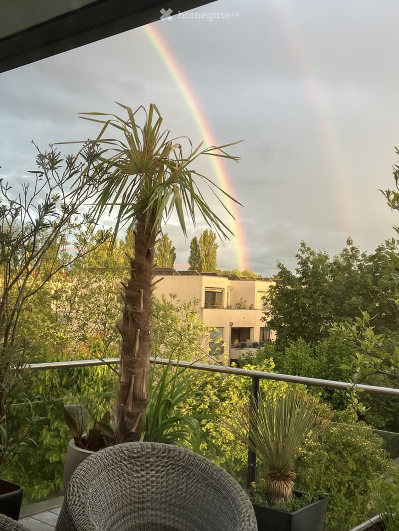 Balcony with a wicker chair, potted plants, and a view of a rainbow and surrounding greenery.