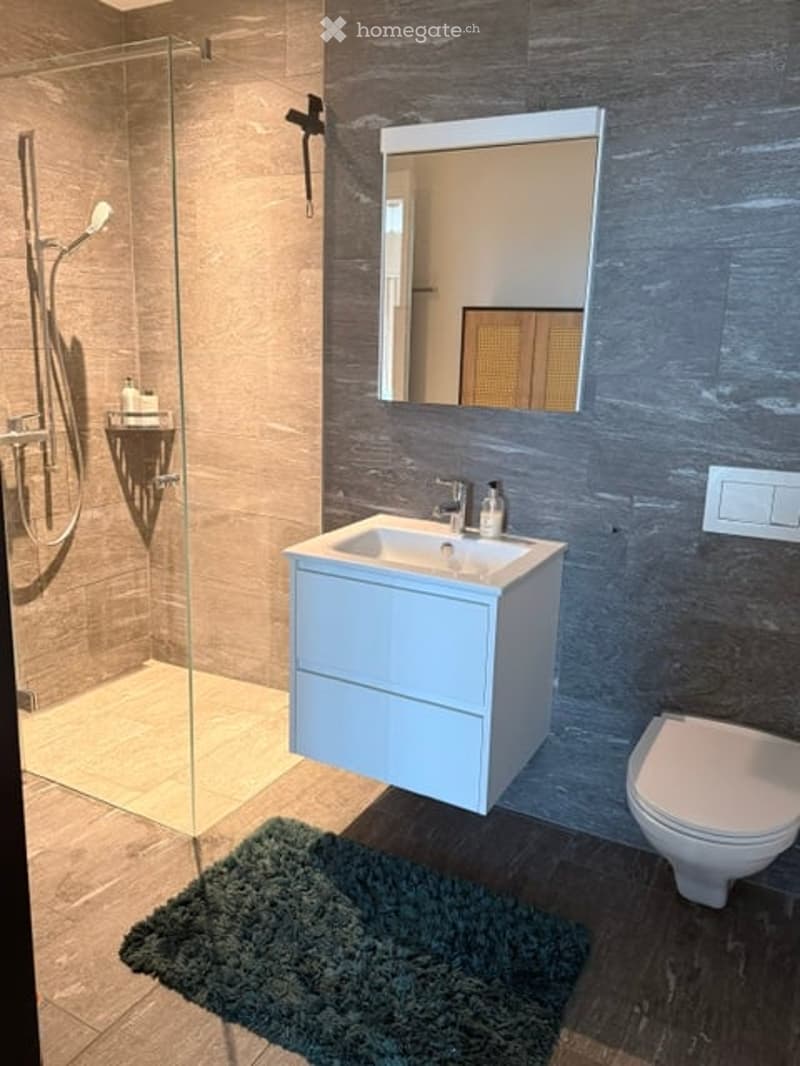 Modern bathroom with a white sink, mirror, toilet, and glass-enclosed shower. Features a grey textured wall and a plush dark green rug on the floor.