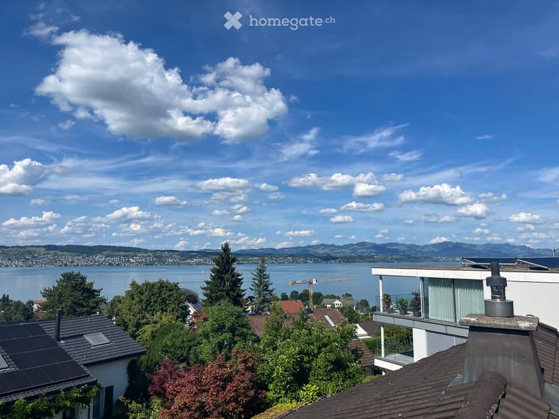 View from a rooftop showing a lake, distant mountains, and surrounding houses with solar panels and chimneys.