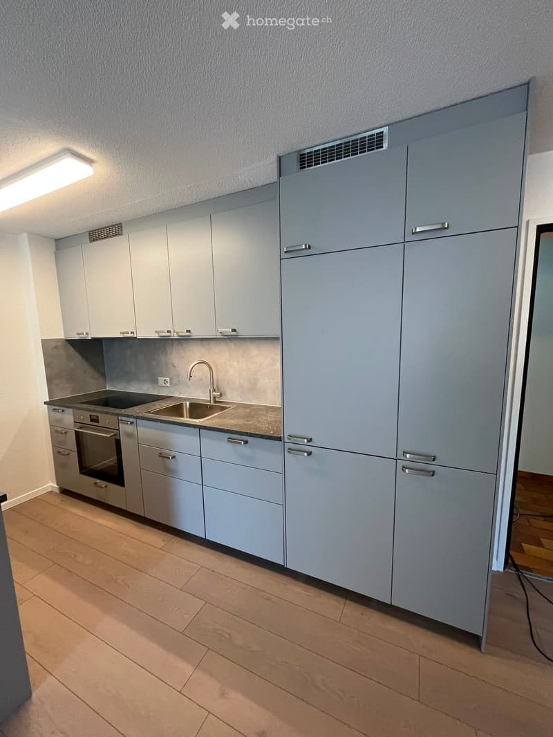 Modern kitchen with light grey cabinets, stainless steel sink, faucet, and oven. Light wooden flooring and white walls.