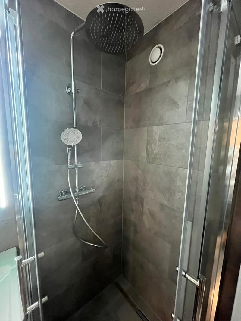 Modern shower area with a glass enclosure, multiple showerheads, and sleek metallic fixtures.