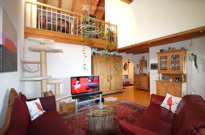 A spacious living room with exposed wooden beams, a red leather sofa, a glass coffee table, a cat tree, and a television. The room features a wooden cabinet, a balcony with hanging plants, and a cozy rug.