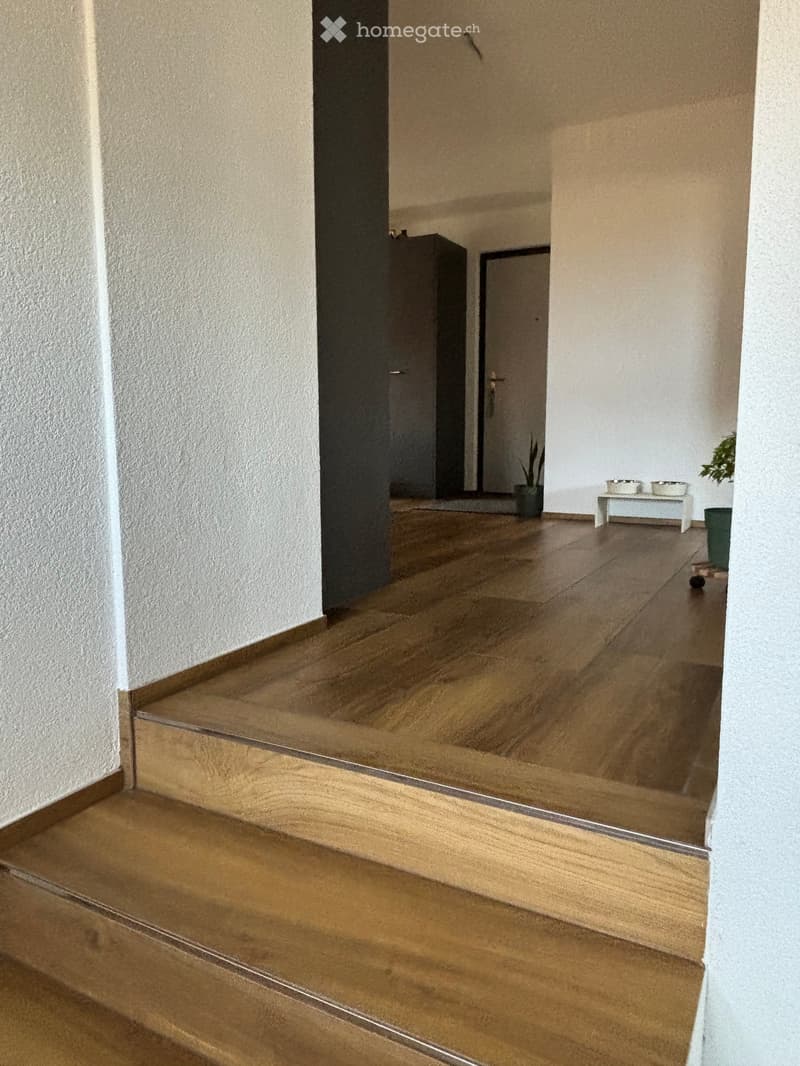 A modern hallway with wooden flooring, white walls, and a small table with bowls and a potted plant in the background.