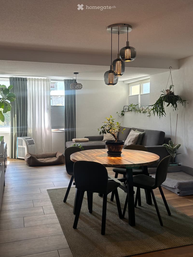 Modern living and dining area with a grey sofa, wooden dining table, pendant lights, and several plants. The space features large windows with curtains and a dog bed in the corner.