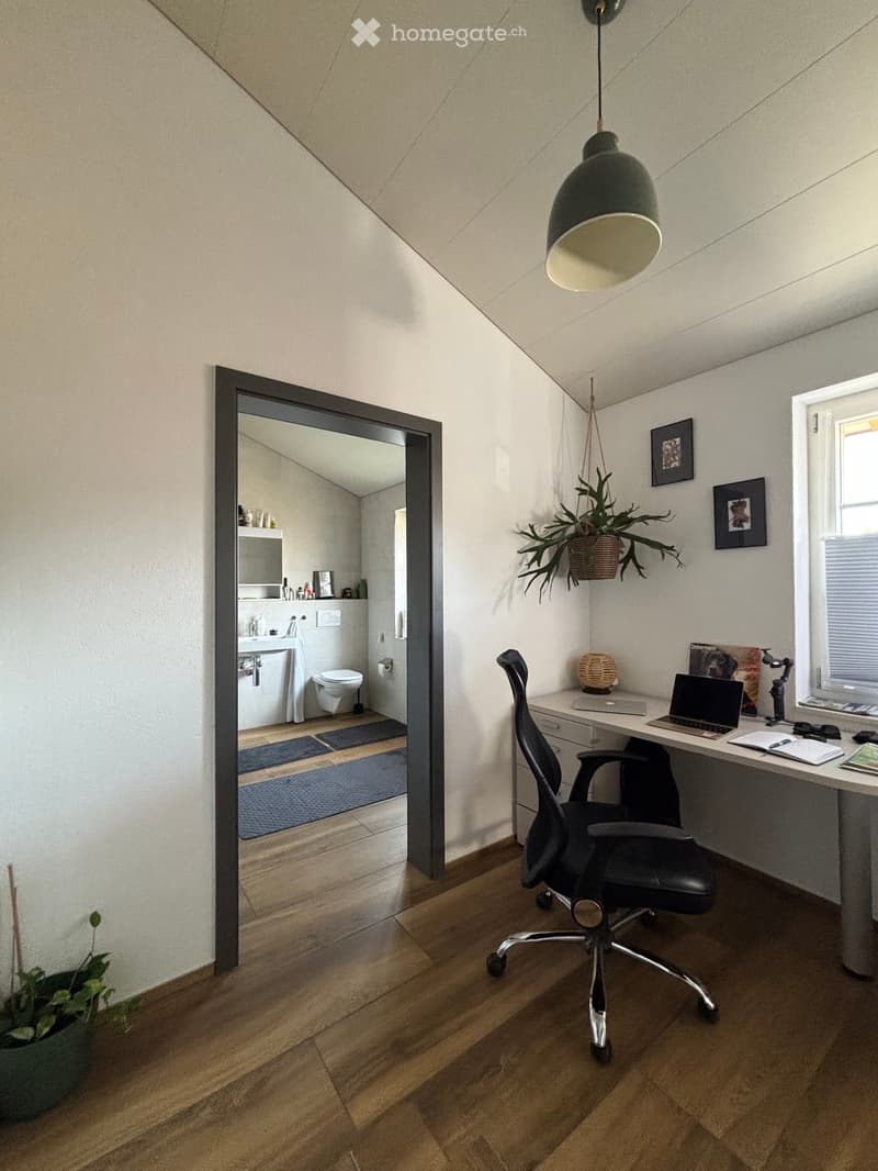 A modern, well-lit room with wooden flooring, a large mirror, a hanging plant, and a desk setup with a chair, laptop, and various office supplies. A small bathroom is visible through the mirror.