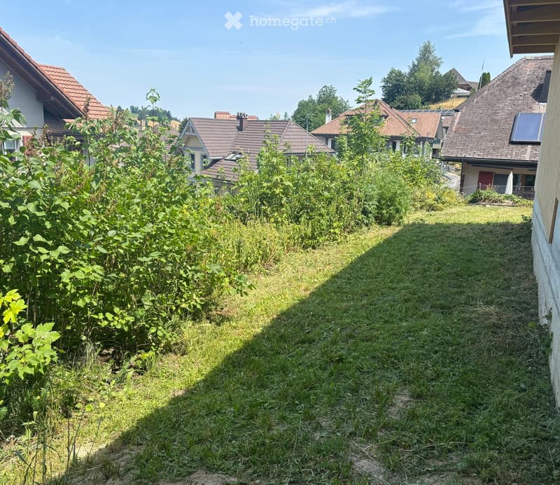 A narrow, overgrown garden path lined with tall, leafy plants and grass, leading to a row of residential houses with red-tiled roofs and solar panels.
