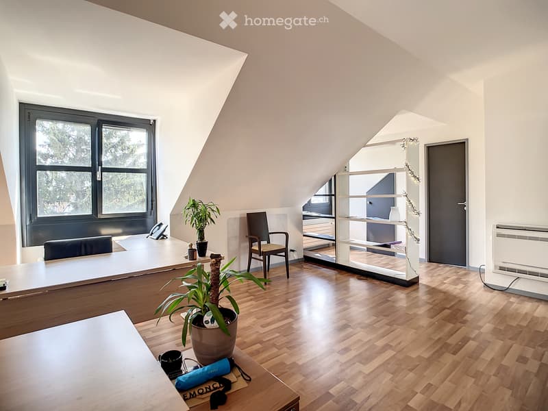 Wooden floor, desk, chair, office phone, plants, large window