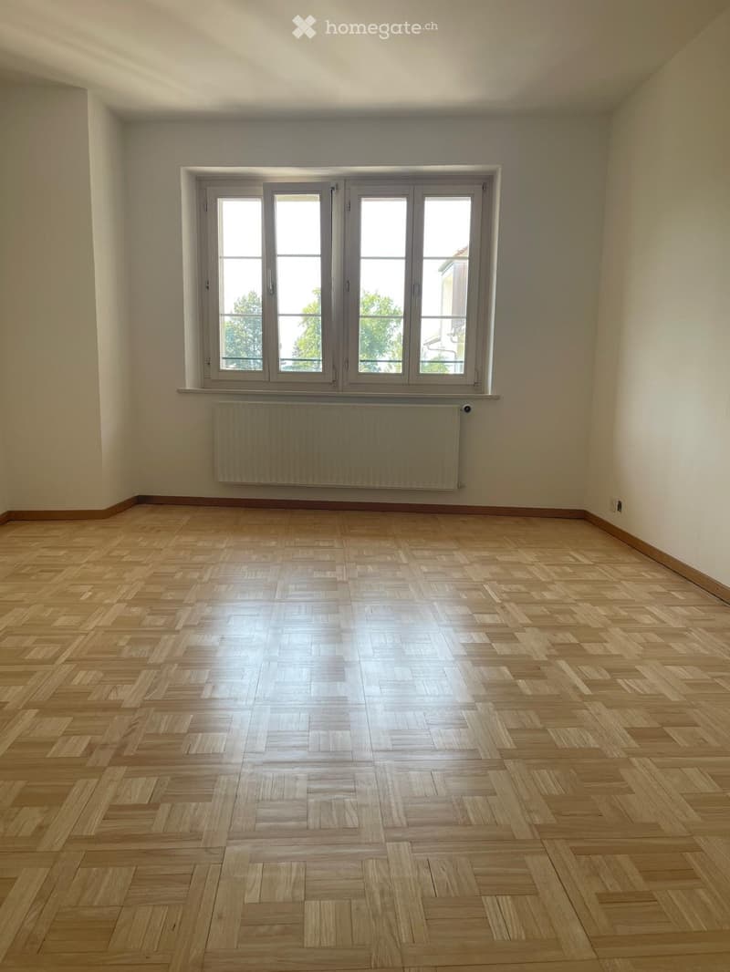 Empty room with wooden parquet flooring, large window with multiple panes, and a radiator below the window.