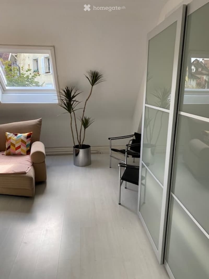white hardwood floors, beige sofa with pillow, silver plant in black pot, two black chairs, sliding door, dormer window