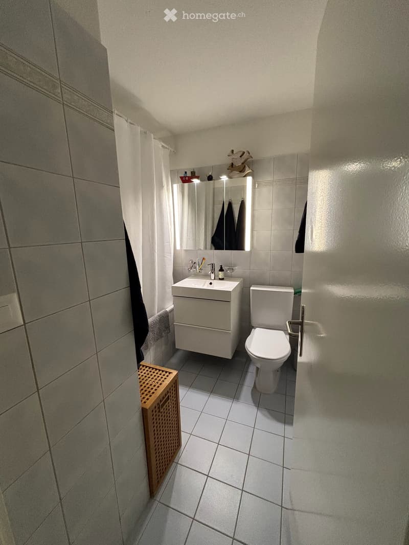 Helle 3.5-Zimmer-Wohnung mit Balkon in Baar (ZG) (3)