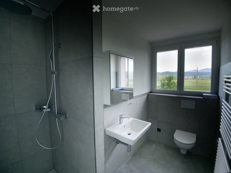Modern bathroom with a walk-in shower, sink, toilet, and large windows offering a scenic view.
