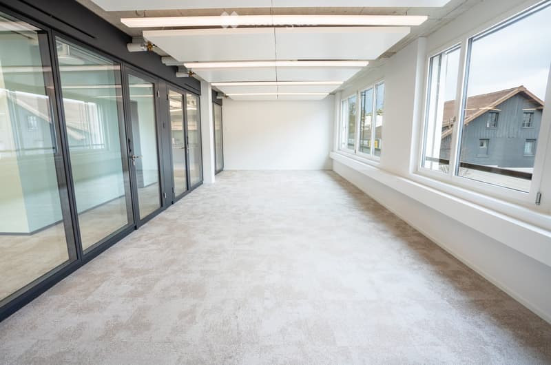 Empty room with large windows and glass doors, carpeted floor, white walls, and modern lighting fixtures.