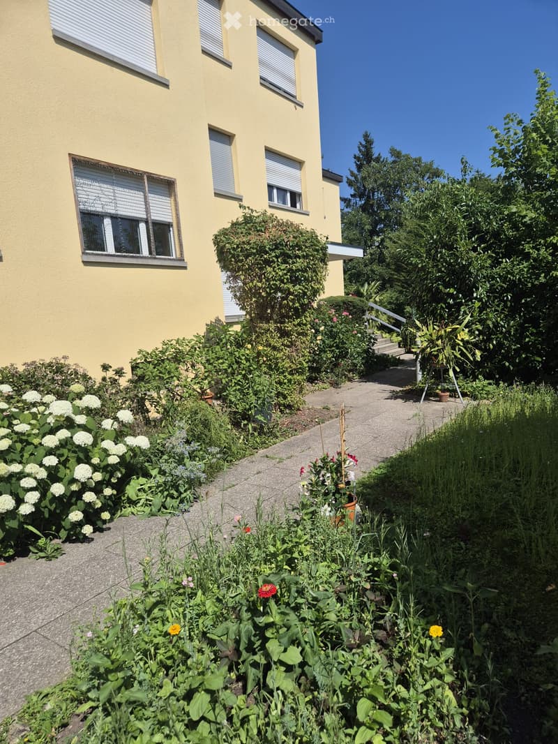 Garden area with a pathway leading to a yellow house, surrounded by various plants and flowers, including white hydrangeas, red and yellow flowers, and green shrubs.