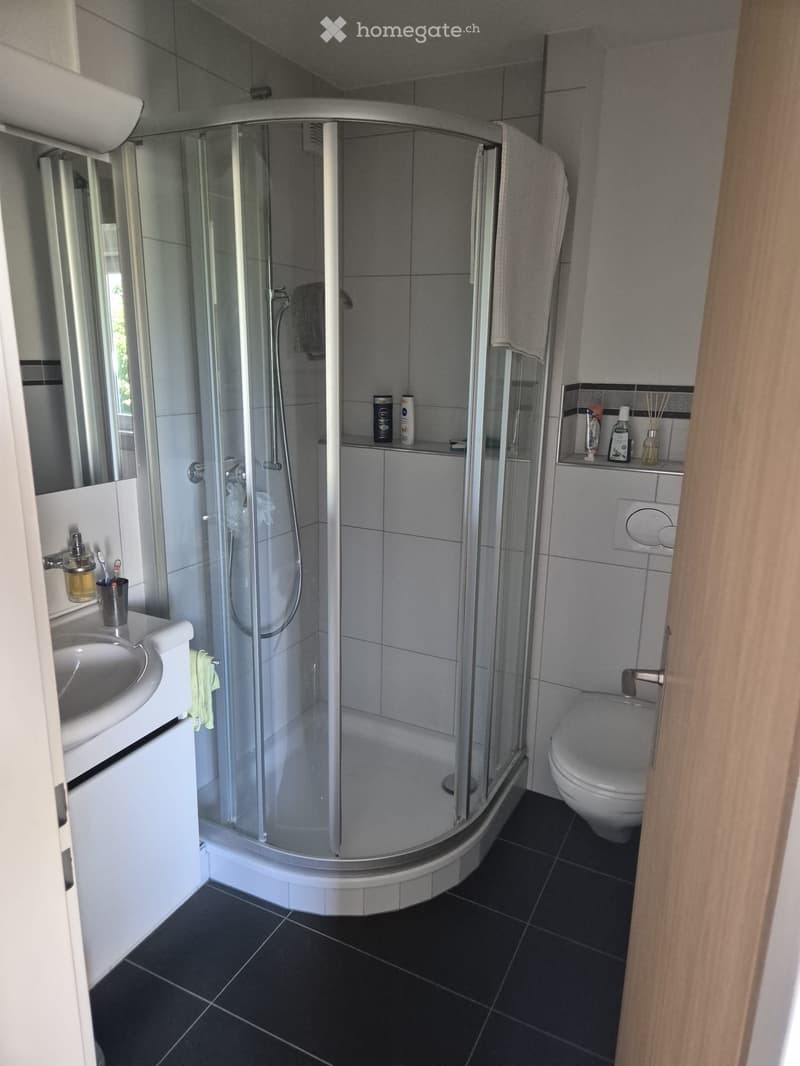 Modern bathroom with a glass-enclosed shower, sink, toilet, and various toiletries on shelves.
