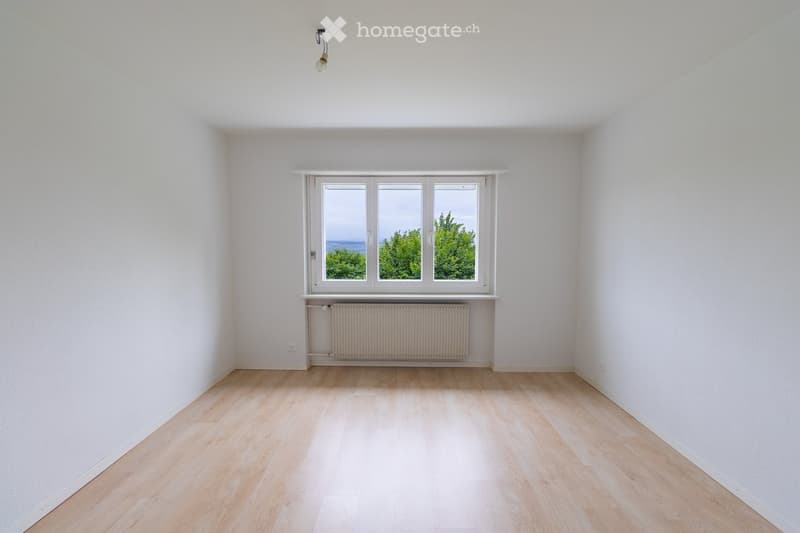 Empty room with light wooden flooring, white walls, and a large window with three panes showing a view of greenery and sky. A radiator is placed below the window, and a single light fixture hangs from the ceiling.