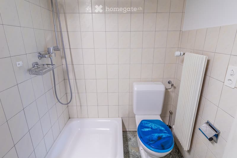 Bathroom with a bathtub, toilet with a blue seat cover, a radiator, a shower hose, and a shower rack.