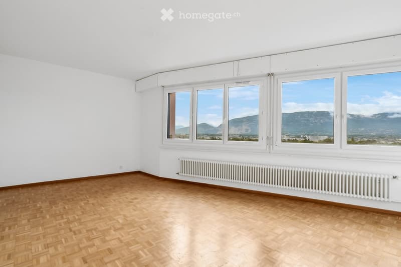 Empty room with wooden flooring, white walls, large windows offering a scenic mountain view, and a white radiator along the wall.