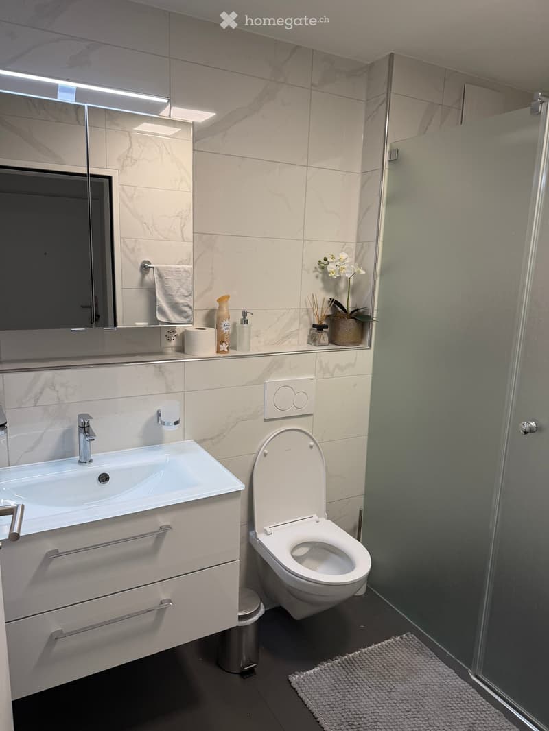 Modern bathroom with white marble tiles, a sink with a chrome faucet, a toilet, a shower, a mirror, and decorative items on the counter.