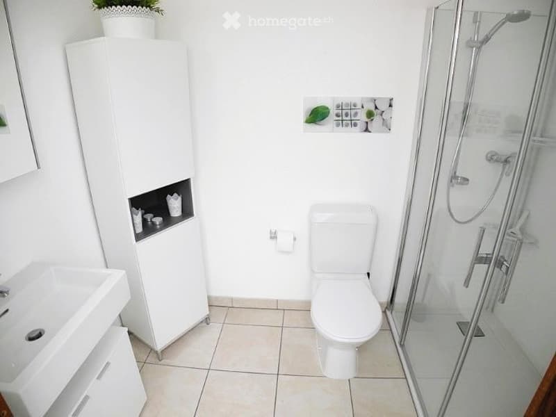 Modern, white bathroom with a sink, toilet, glass-enclosed shower, and a tall white cabinet with a mirror. A small plant sits on top of the cabinet, and a decorative wall piece is visible.