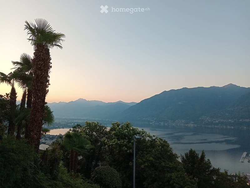 A scenic outdoor view featuring palm trees in the foreground, a body of water, and distant mountains under a soft, pastel sky.