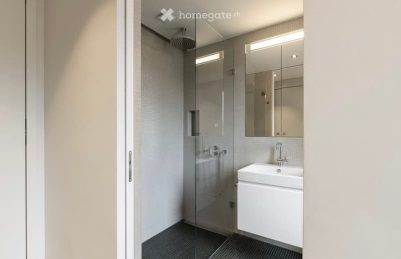 Modern bathroom with a glass-enclosed shower, a white sink with a modern faucet, and a large mirror above the sink.