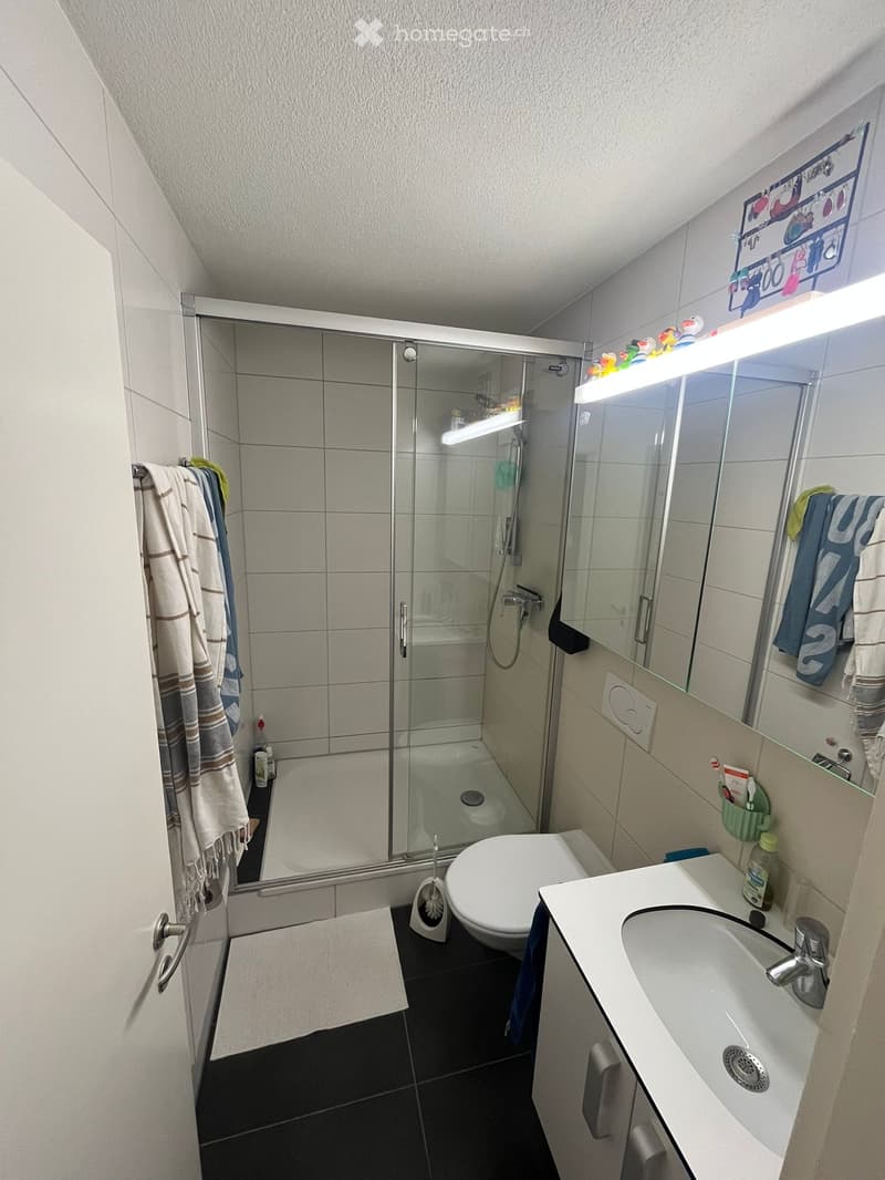 Modern bathroom with a glass-enclosed shower, white sink, toilet, and mirror. Towels are neatly hung on the wall, and toiletries are placed on the sink counter.