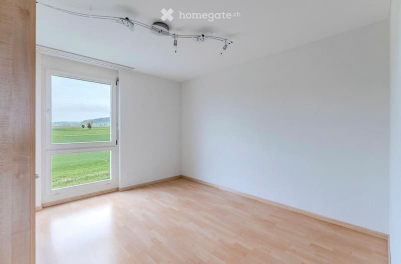 Empty room with light wooden flooring, white walls, and large windows offering a view of a green field.