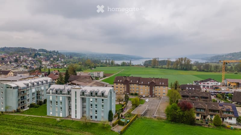 Aerial view of a residential area with apartment buildings, houses, green spaces, and a body of water in the background.