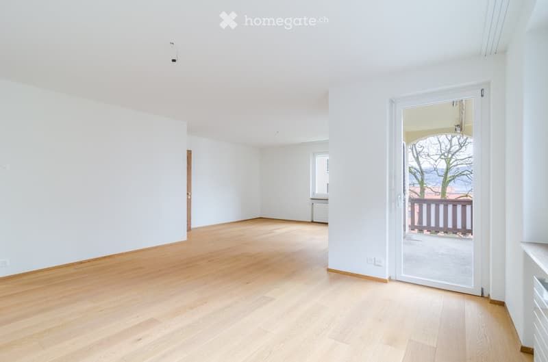 Empty room with light wooden flooring, white walls, and a large sliding glass door leading to a balcony.