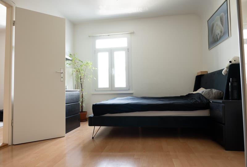 Modern bedroom with a dark-colored bed, nightstands, a potted plant, and a picture frame on the wall.