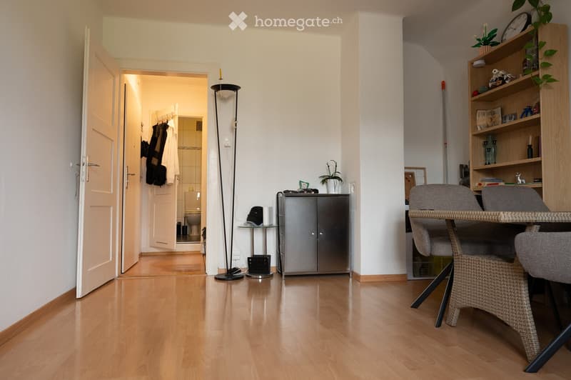 A well-lit hallway with wooden flooring, leading to a bathroom. Visible furniture includes a wicker chair, a small table with a lamp, a cabinet, and a shelf with decorative items and plants.