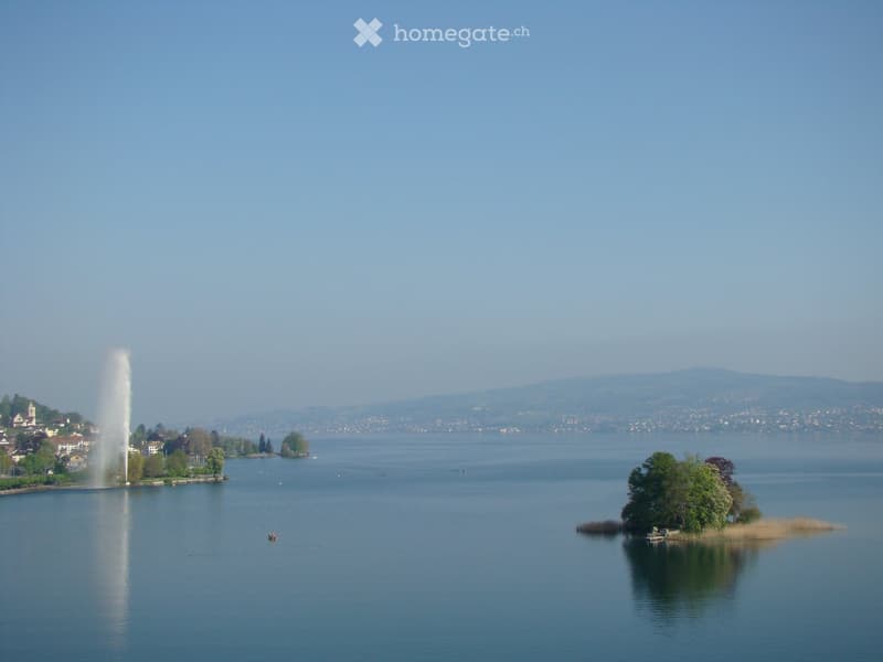 A scenic view of a lake with a fountain spraying water into the air, surrounded by trees and distant hills.
