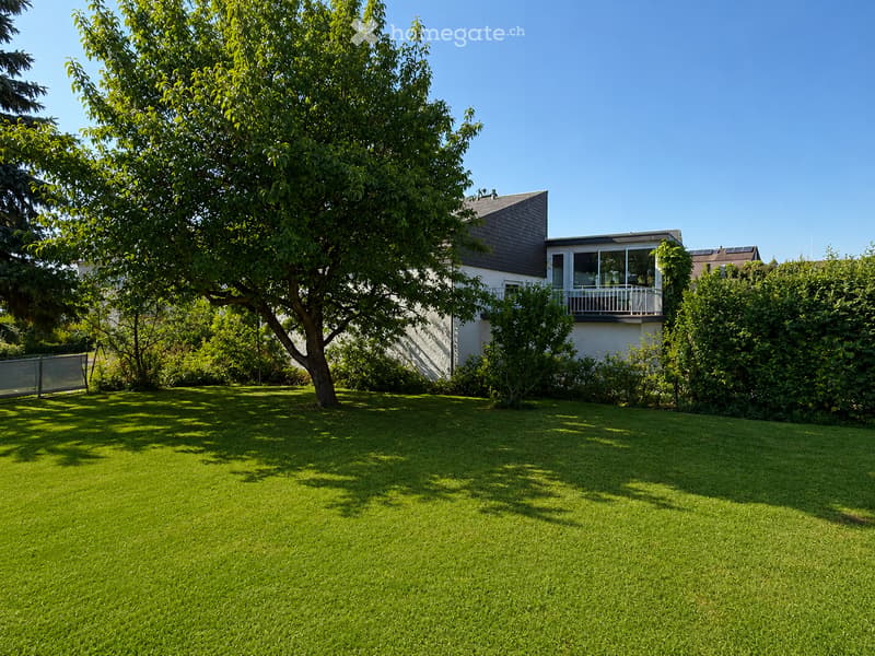 Lush green lawn with a large tree, surrounded by bushes and a modern house with a balcony and large windows.