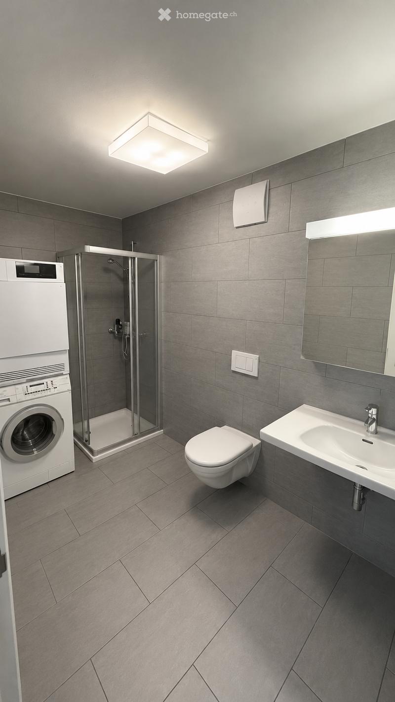 Modern bathroom with grey tiled walls and floor, featuring a toilet, sink, shower, and washing machine.
